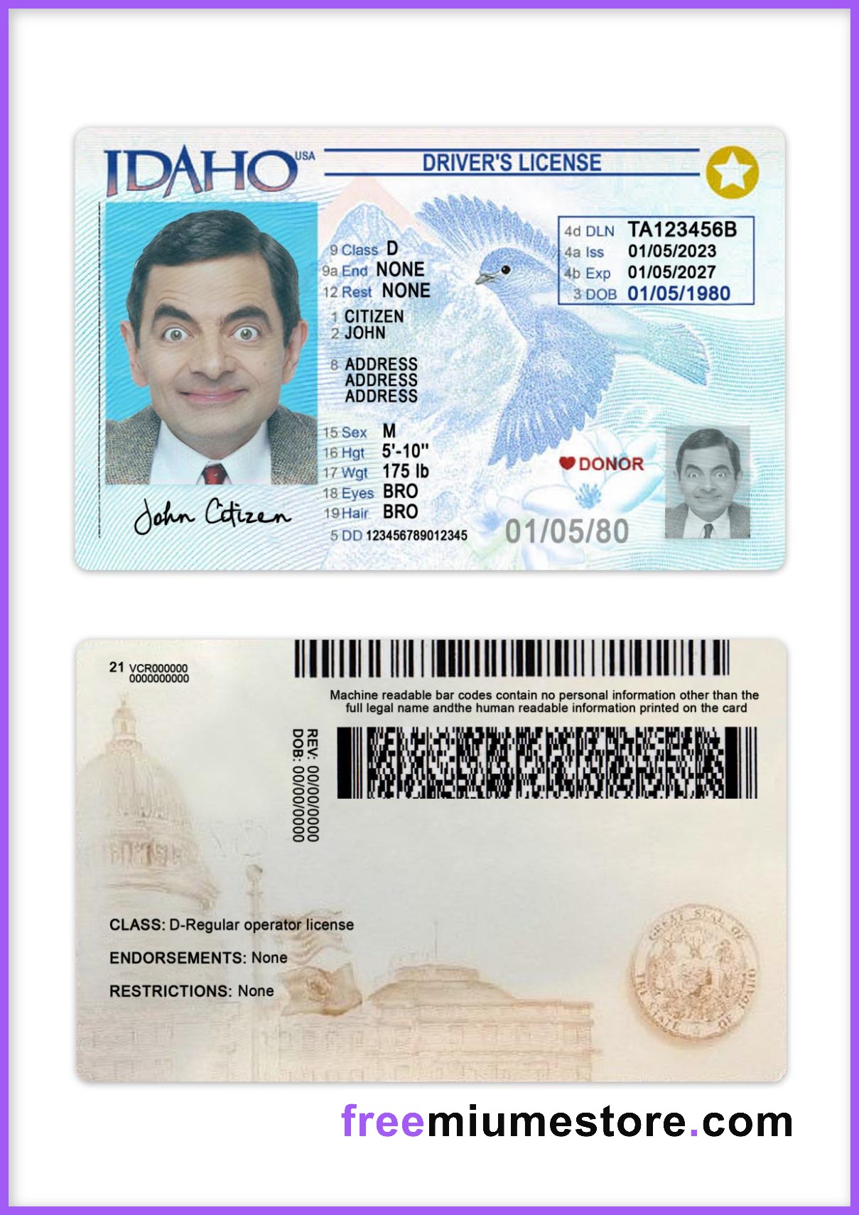 Idaho Driver license PSD Template